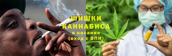 тгк Нея