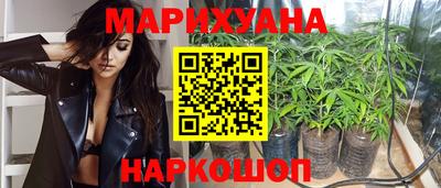 амф Гатчина
