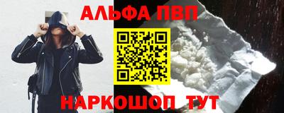 амф Гатчина