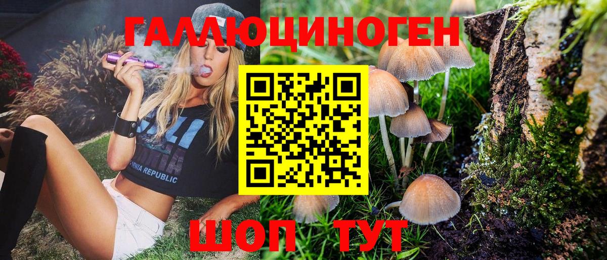 Галлюциногенные грибы мухоморы Гусь-Хрустальный