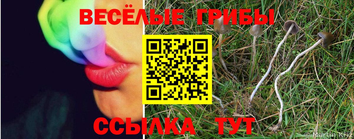 Галлюциногенные грибы прущие грибы  Псилоцибиновые грибы ЛСД  Вход с VPN  закладки  Гусь-Хрустальный 