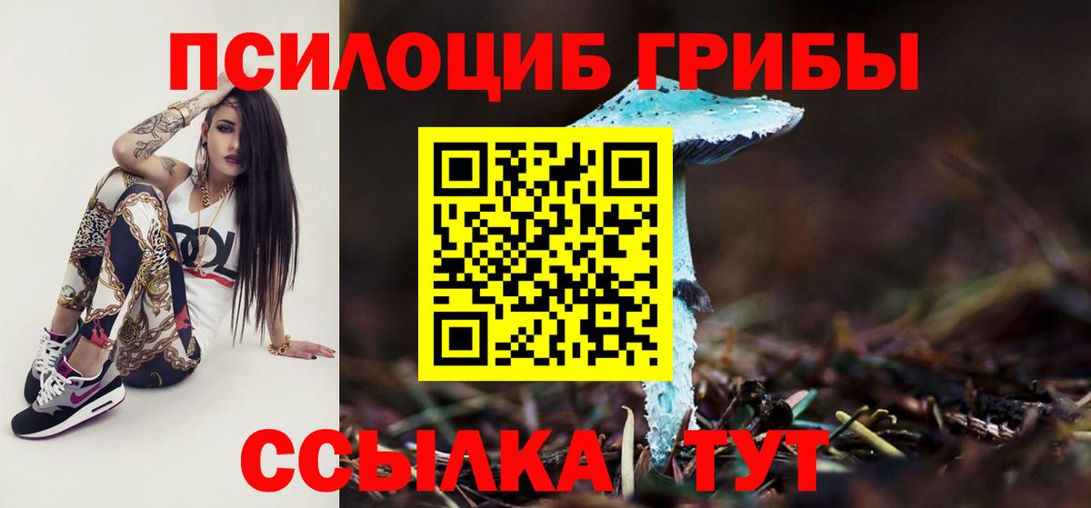 Псилоцибиновые грибы Cubensis  закладка  Гусь-Хрустальный  Псилоцибиновые грибы Psilocybine cubensis 